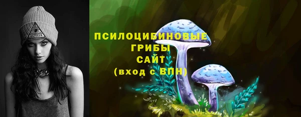 соль ск Аркадак