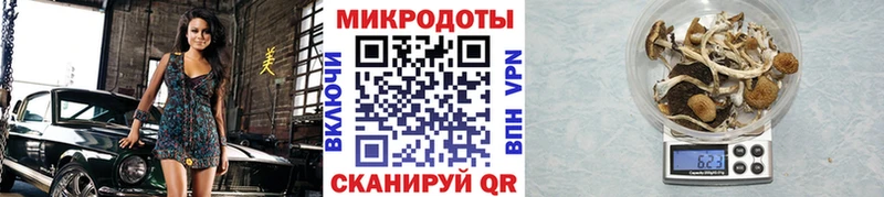Галлюциногенные грибы прущие грибы  это формула  Лангепас 